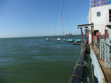 膨(péng)脹彎安裝 膨脹彎安裝